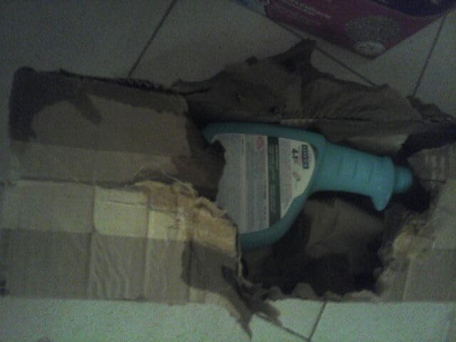 Ma salle de bain redevient impeccable