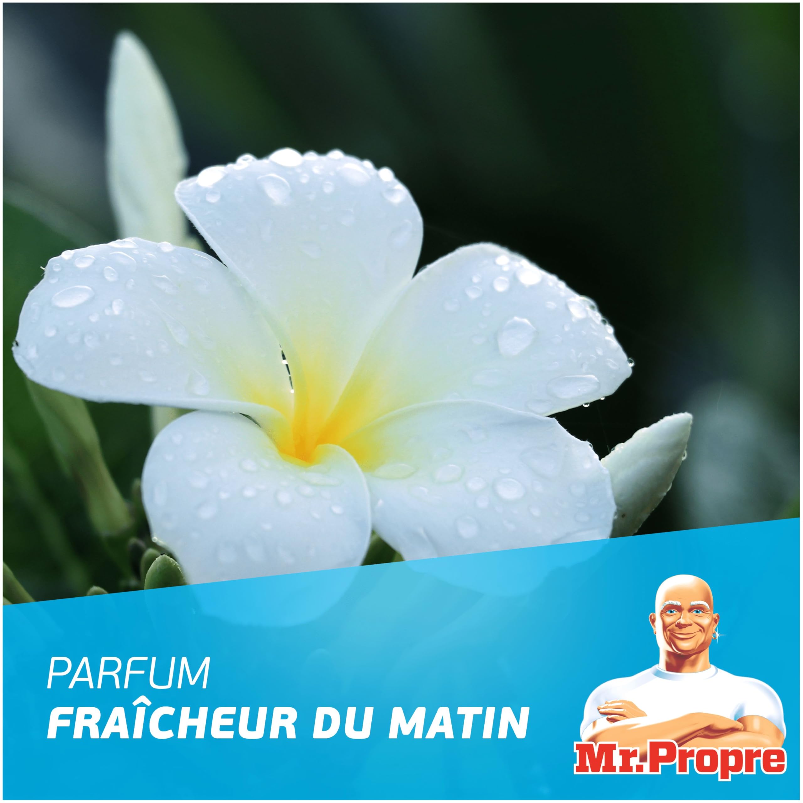 mr-propre-nettoyant-liquide-sol-multi-usages-fra-cheur-matin-1-5-l-lot-de-9-limi image 6
