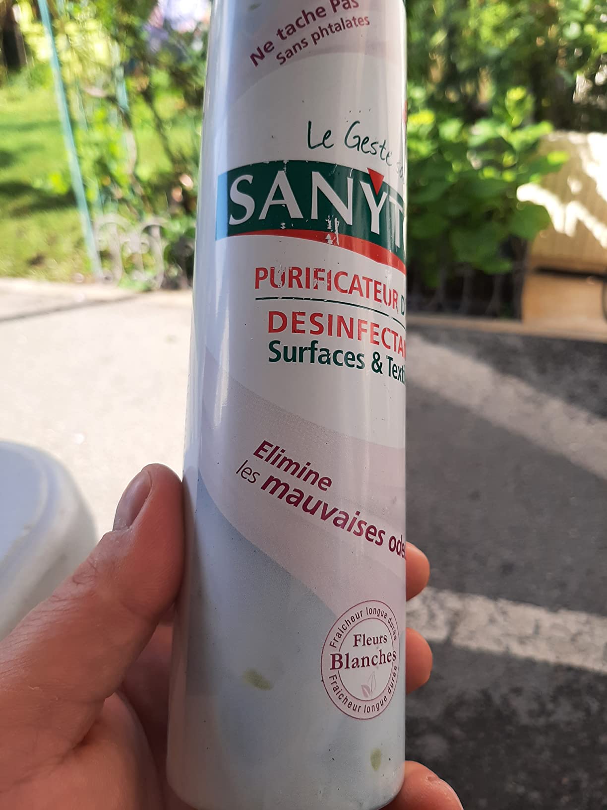 Fraîcheur des fleurs blanches au top
