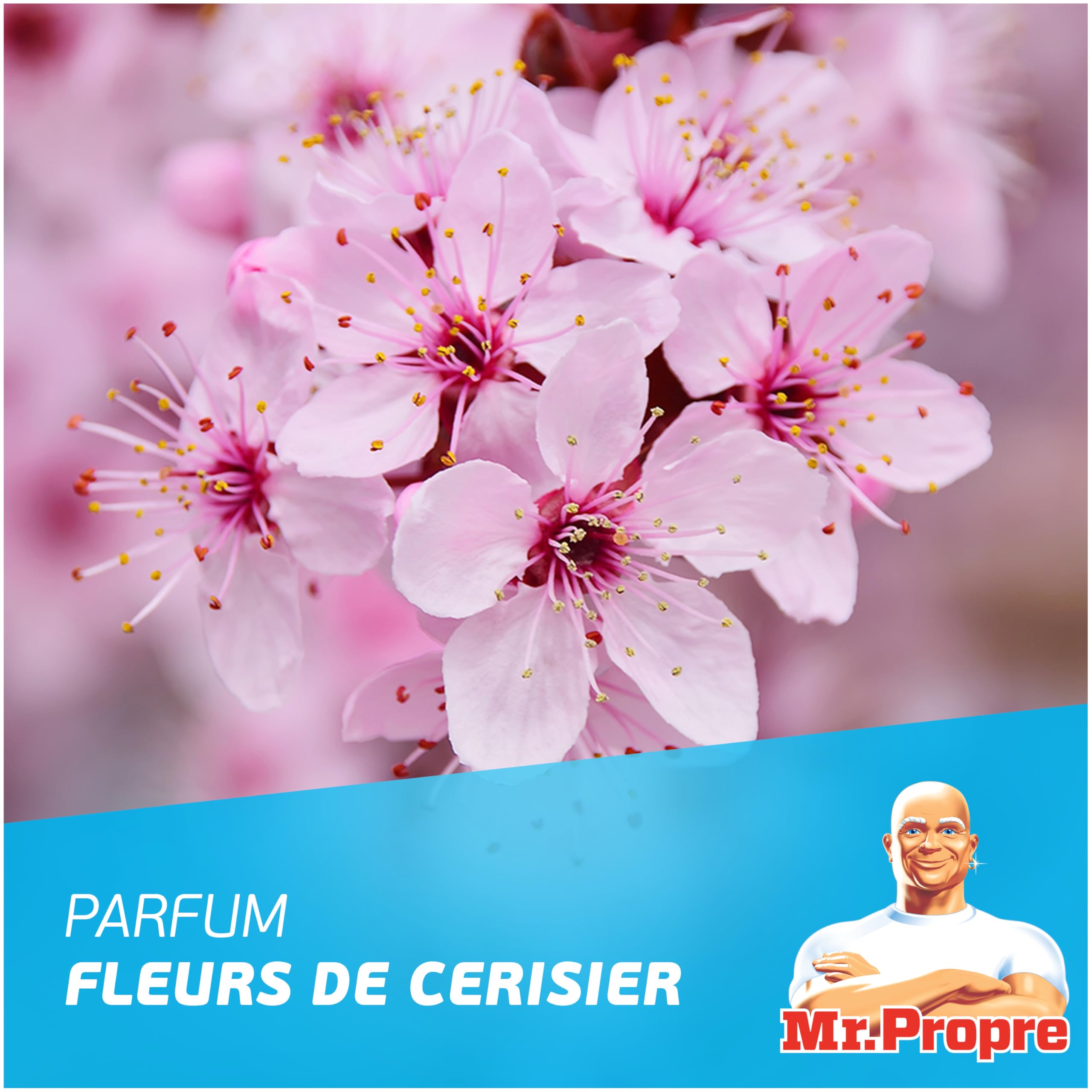 mr-propre-spray-nettoyant-multi-usages-cerisier-800ml-lot-de-10-limine-99-9-des- image 4